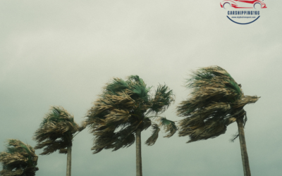 2023 Hurricane Season is coming. Experts predict it will be “above normal” – Tips to prepare your car and limit damage